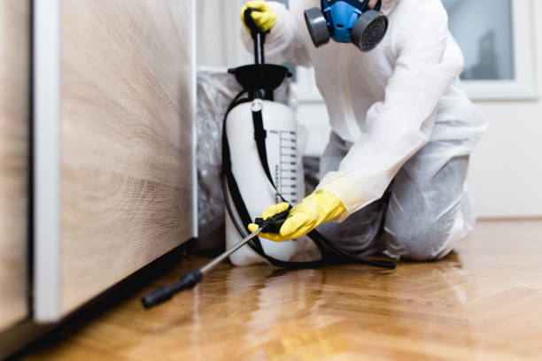 Pest Control Cost in Fruitland, MD
