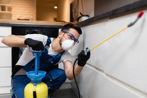 Professional Pest Control in Fruitland, MD