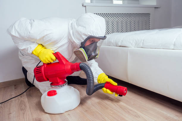 Best Mosquito Control Services  in Fruitland, MD