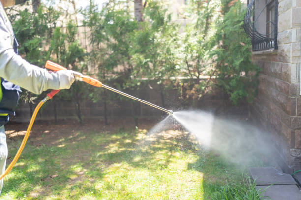 Best Best Pest Control Companies  in Fruitland, MD
