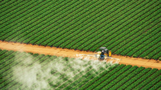 Best Insect Control  in Fruitland, MD
