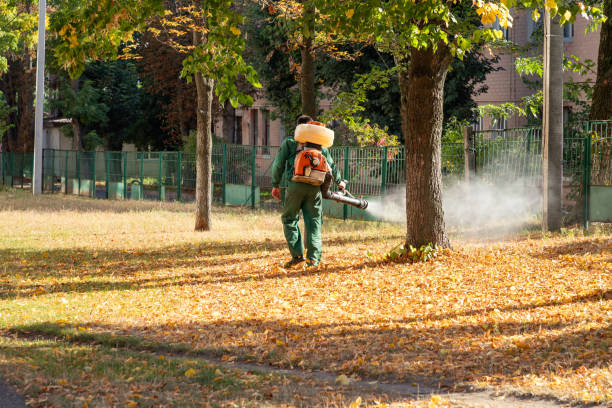 Best Pest Inspection Near Me  in Fruitland, MD