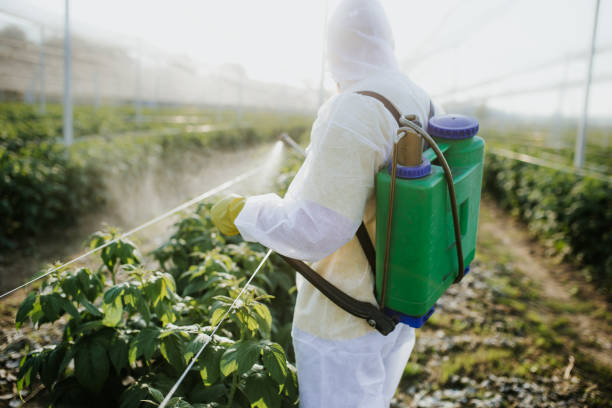 Best Ant Control Services  in Fruitland, MD